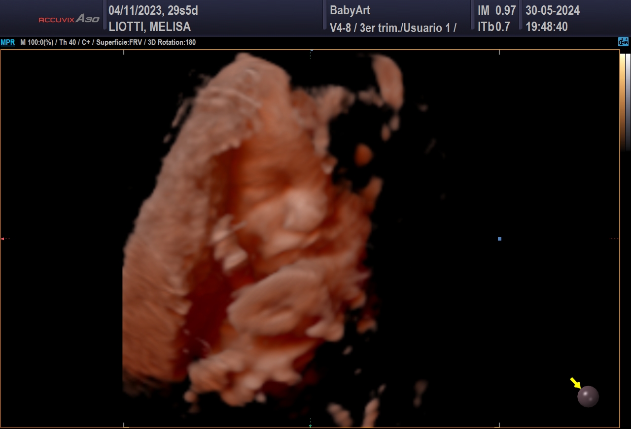 JULIA DE MELISA LIOTTI_0027.JPG